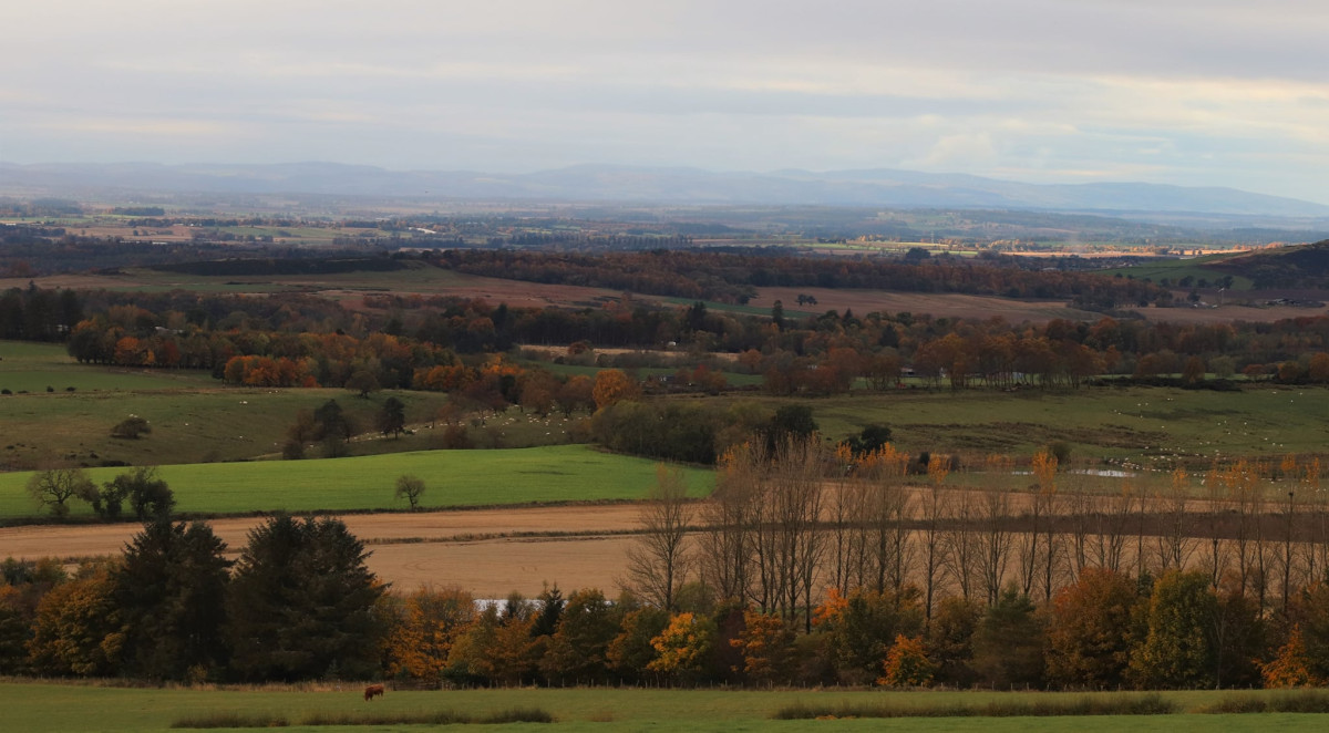 Kinclune estate and house, autumnal views 
